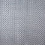 Asteroid Silver